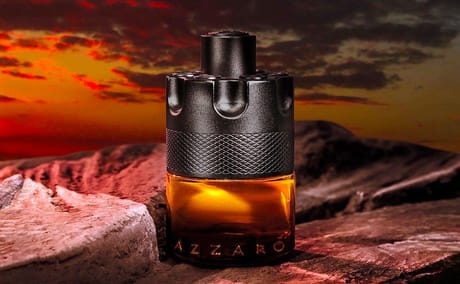 Luxury Watch Holiday Gift